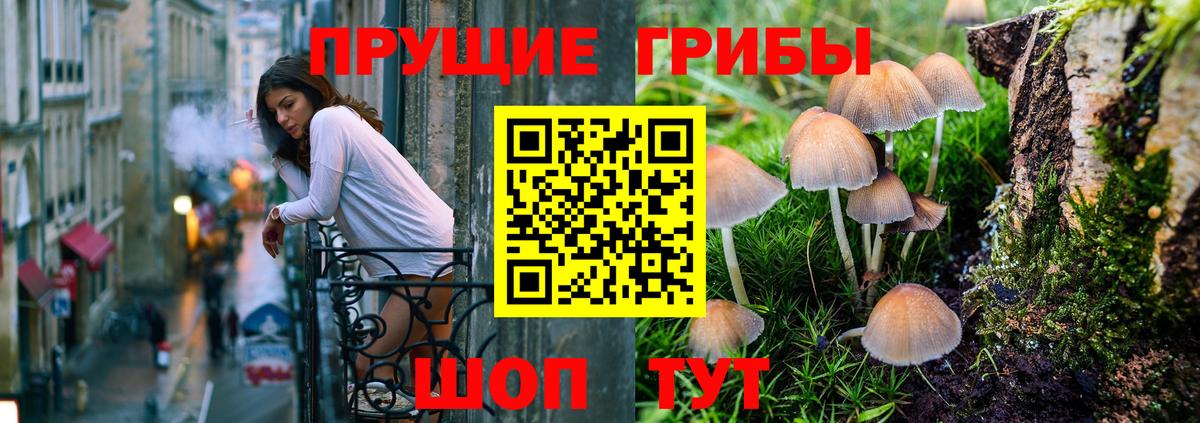 Галлюциногенные грибы Psilocybine cubensis  Вход с VPN  Озёрск 